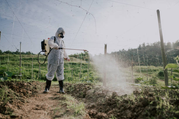 Best Mosquito Control Services  in Great Neck, NY