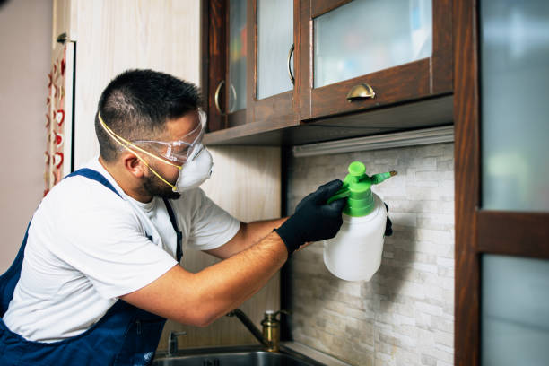 Best Bed Bug Extermination  in Great Neck, NY