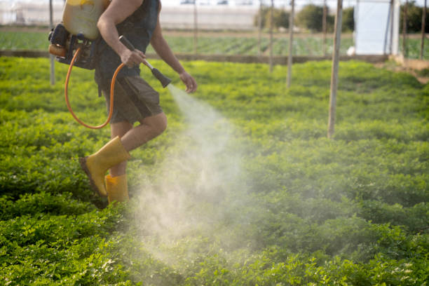 Best Pest Prevention Services  in Great Neck, NY