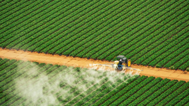 Best Commercial Pest Control Services  in Great Neck, NY
