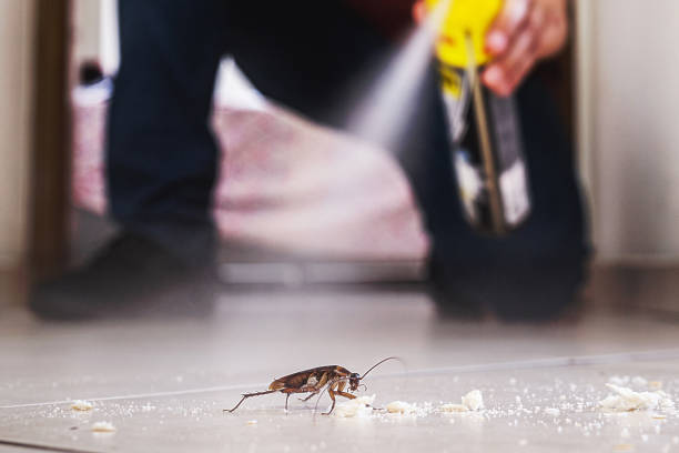 Best Wasp Removal Services  in Great Neck, NY