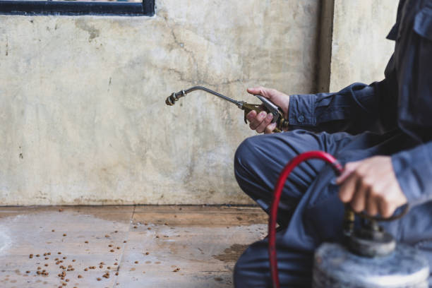 Best Pest Prevention Services  in Great Neck, NY
